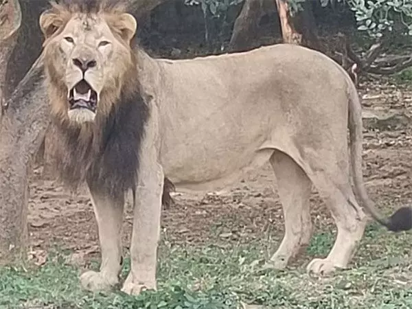 Karnataka: पिलिकुला जैविक उद्यान ने पशु विनिमय कार्यक्रम में नए सदस्यों का स्वागत किया