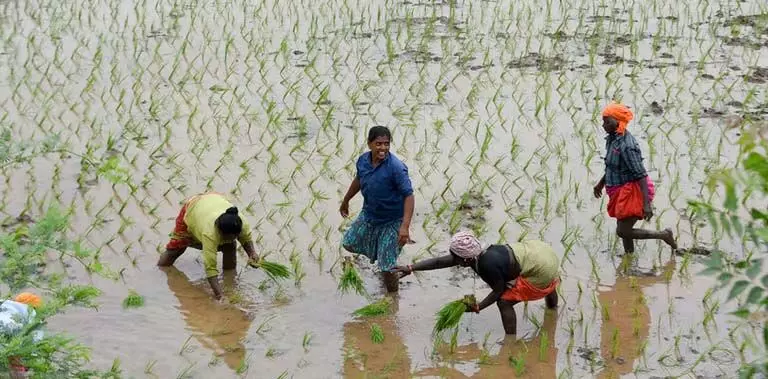 भू-माफिया और कृषि भूमि की अवैध बिक्री के विरोध में किसानों ने Bargarh-Bhatli मार्ग को जाम किया