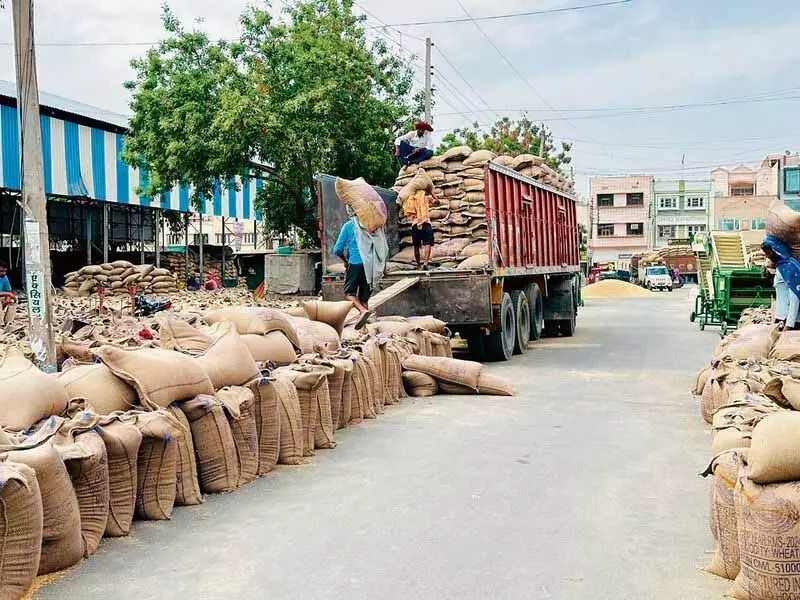 Punjab: किसानों के लिए गेहूं के बीज पर सब्सिडी की सीमा एक एकड़ तक सीमित की