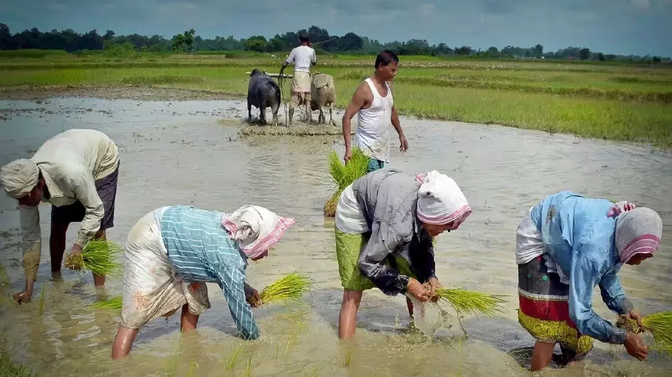 Assam का बारपेटा जिला पीएम-किसान धोखाधड़ी का केंद्र बनकर उभरा