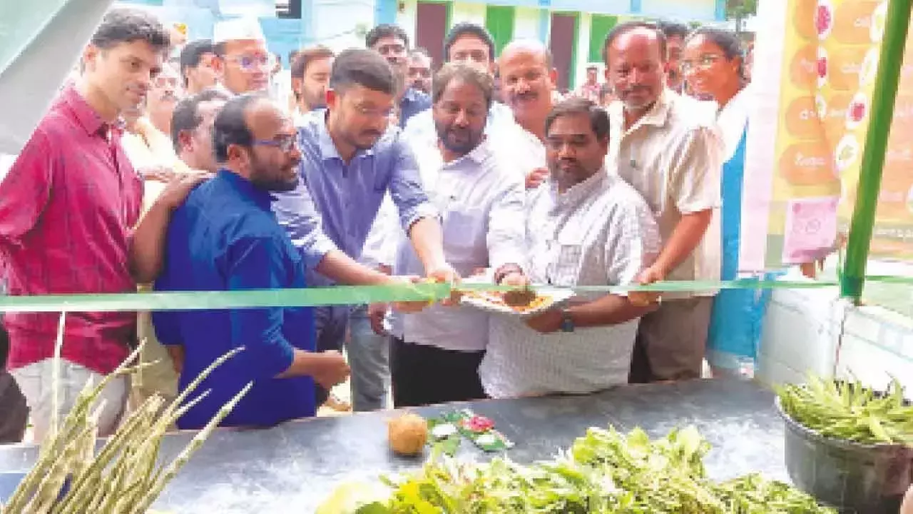 Madanapalle रायथू बाज़ार 14 साल बाद पुनर्जीवित हुआ