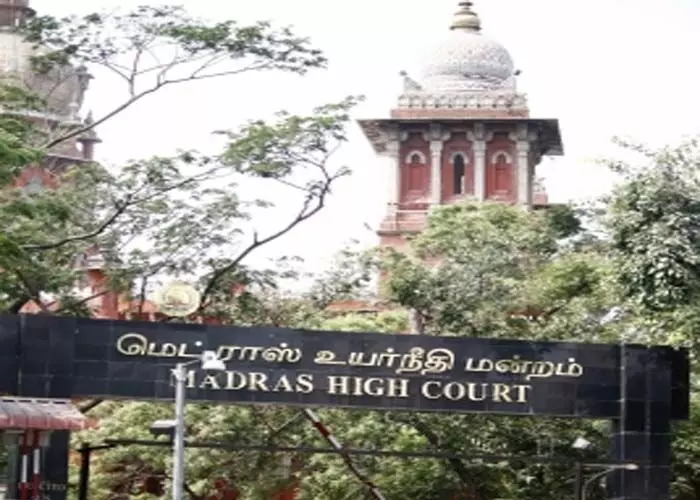 Madras HC ने पशु चिकित्सक को उस शिशु बंदर से मिलने की अनुमति दी