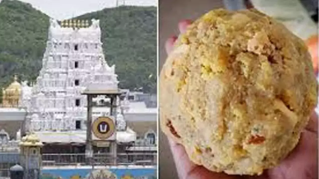 Tirupati लड्डू मिलावट: आरोपों की जांच के लिए सीबीआई ने 5 सदस्यीय एसआईटी गठित की