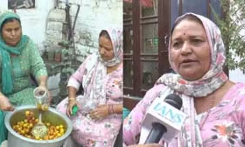 अचार यूनिट से 40 हजार रुपये महीना कमा रहीं सांबा की शकुंतला देवी महिलाओं के लिए बनीं प्रेरणा अचार यूनिट से 40 हजार रुपये महीना कमा रहीं सांबा की शकुंतला देवी महिलाओं के लिए बनीं प्रेरणा