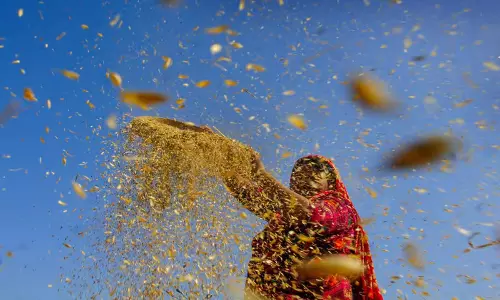Telangana: तेलंगाना में इस खरीफ फसल में 82 लाख मीट्रिक टन चावल का उत्पादन होगा Telangana: तेलंगाना में इस खरीफ फसल में 82 लाख मीट्रिक टन चावल का उत्पादन होगा