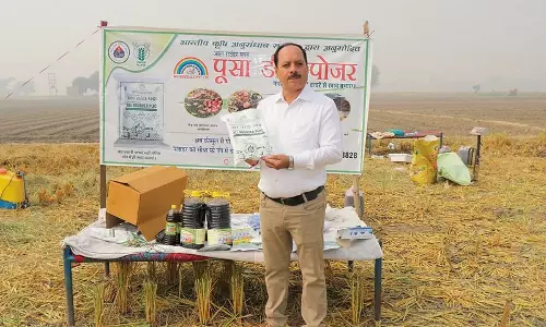 Haryana : सिरसा के किसानों ने धान की पराली के प्रबंधन का पर्यावरण अनुकूल तरीका सीखा Haryana : सिरसा के किसानों ने धान की पराली के प्रबंधन का पर्यावरण अनुकूल तरीका सीखा