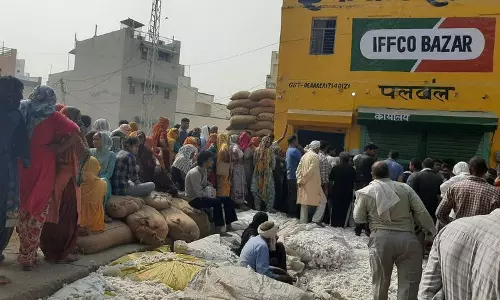 Haryana : पलवल के किसान पानी, डीएपी की कमी और जलभराव की समस्या से परेशान