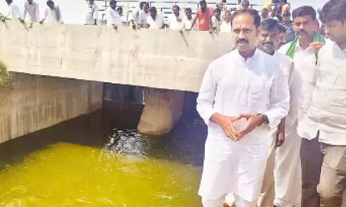 कादिरी विधायक ने कृष्णा नदी का पानी HNSS मुख्य नहर में छोड़ा