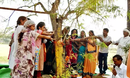 Amla नवमी के दिन कैसे करें पूजा Amla नवमी के दिन कैसे करें पूजा