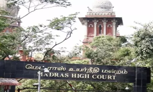 Madras HC ने पशु चिकित्सक को उस शिशु बंदर से मिलने की अनुमति दी