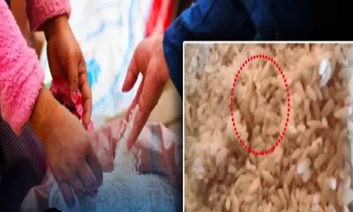 रायगढ़ में PDS चावल में कीड़े रेंग रहे, लाभार्थियों ने किया विरोध प्रदर्शन