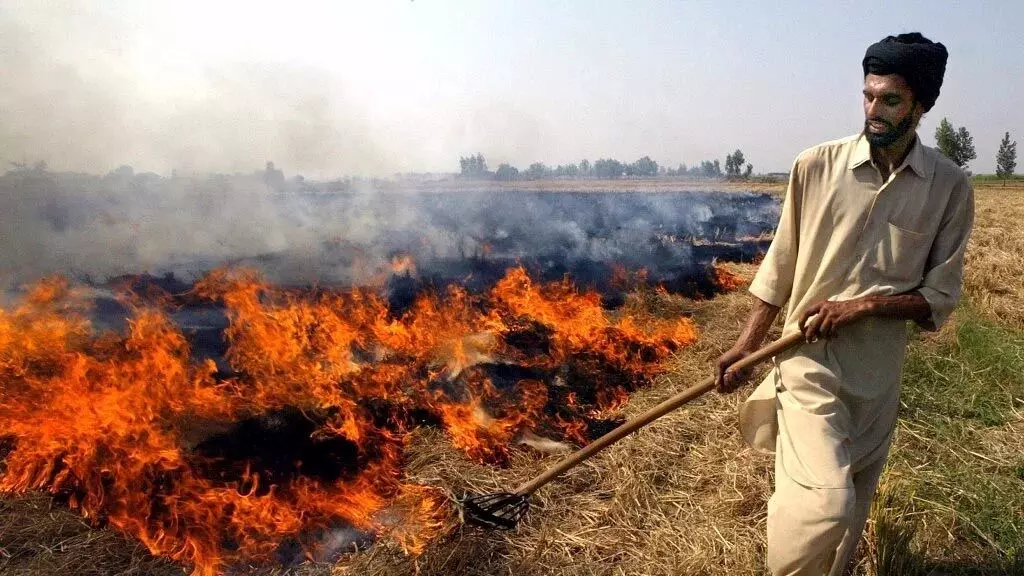 पराली जलाने वालों पर सरकार की सख्‍ती, भारी भरकम जुर्माना