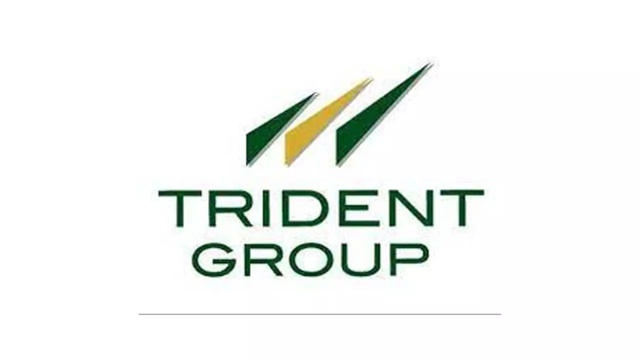 Trident Q2 परिणाम: लाभ में 8.29% की गिरावट