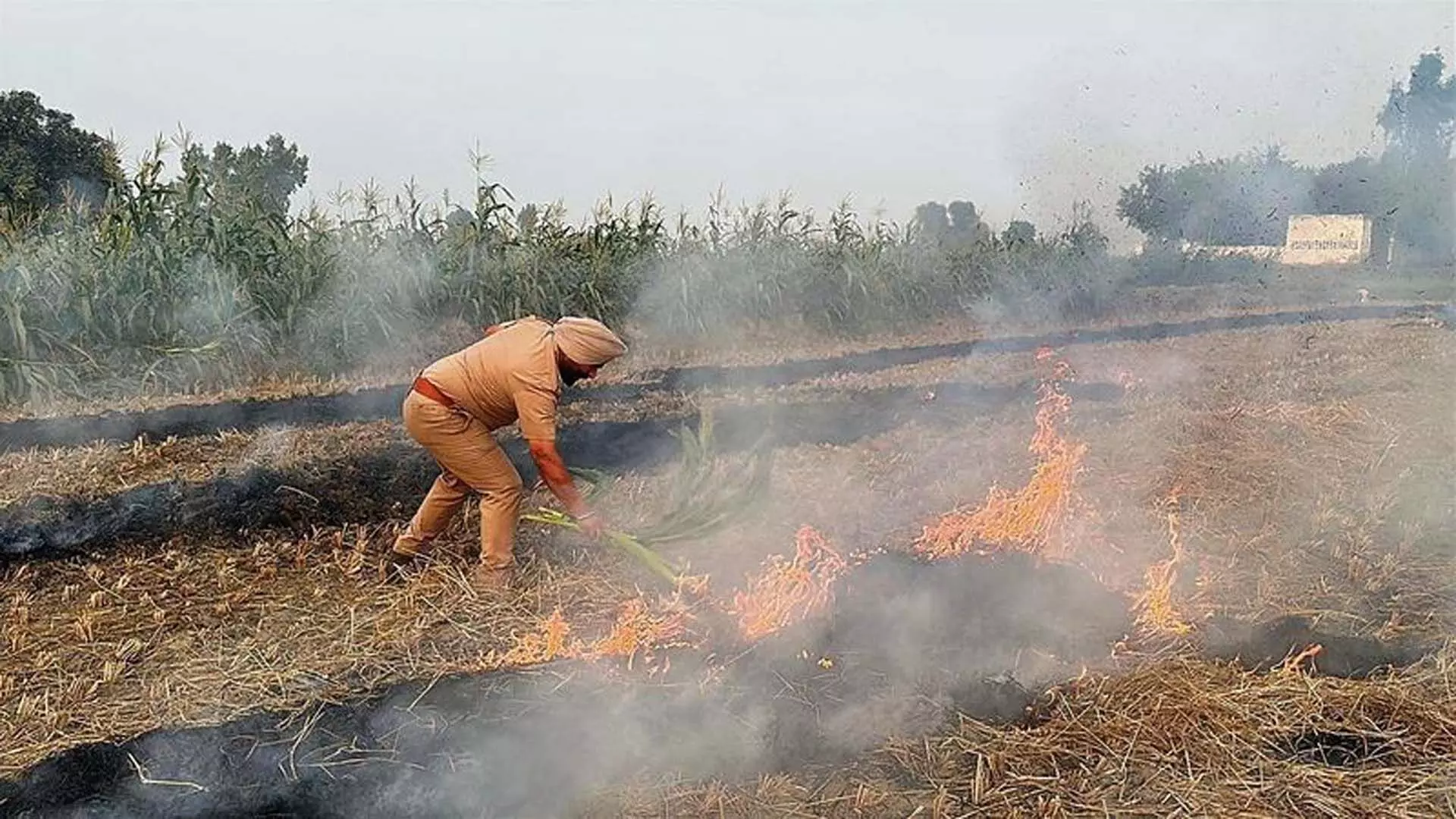 Punjab: किसानों ने पराली जलाने पर जुर्माना दोगुना करने के केंद्र के कदम की निंदा की