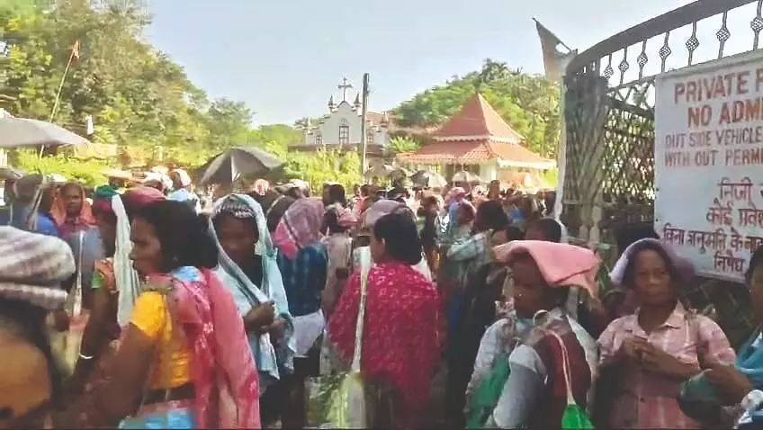 Kumalai Tea Workers: पीएफ और ग्रेच्युटी भुगतान फिर से शुरू करने की मांग