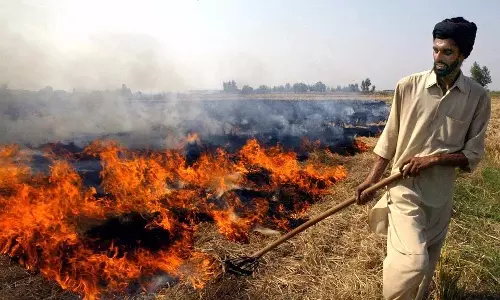पराली जलाने वालों पर सरकार की सख्ती, भारी भरकम जुर्माना पराली जलाने वालों पर सरकार की सख्ती, भारी भरकम जुर्माना