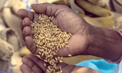 ओडिशा में PDS चावल वितरण में देरी का संबंध गेहूं वितरण में अनिर्णय से ओडिशा में PDS चावल वितरण में देरी का संबंध गेहूं वितरण में अनिर्णय से