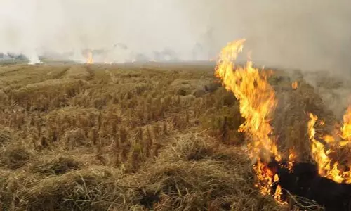 Haryana : यमुनानगर में 29 किसानों पर बाजार में जाने पर प्रतिबंध जुर्माना Haryana : यमुनानगर में 29 किसानों पर बाजार में जाने पर प्रतिबंध जुर्माना