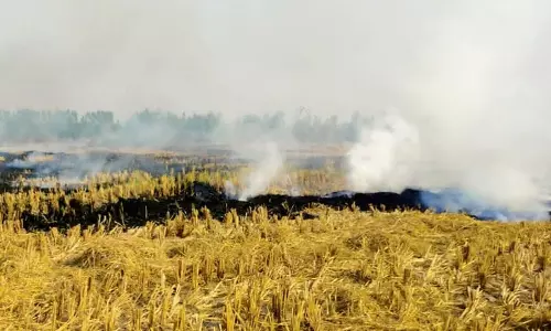 Haryana : पराली जलाने पर कार्रवाई अंबाला में लापरवाही के लिए
