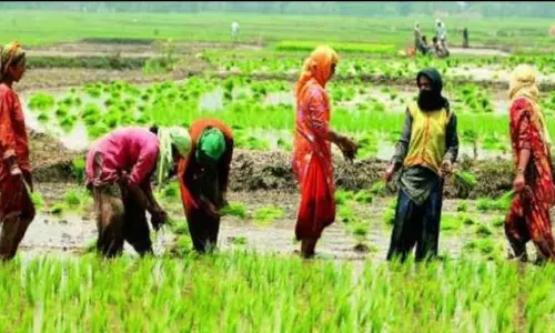 Assam : पीएम-किसान योजना में बड़े पैमाने पर धोखाधड़ी से असम हिल गया