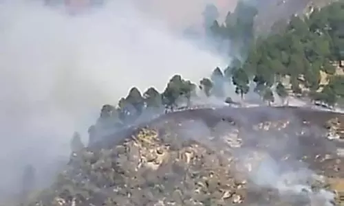 आग से Kullu की वन संपदा को नुकसान, पर्यावरण प्रदूषित