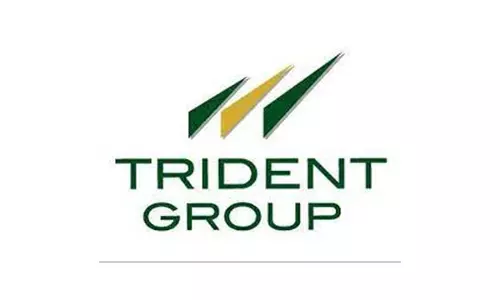 Trident Q2 परिणाम: लाभ में 8.29% की गिरावट