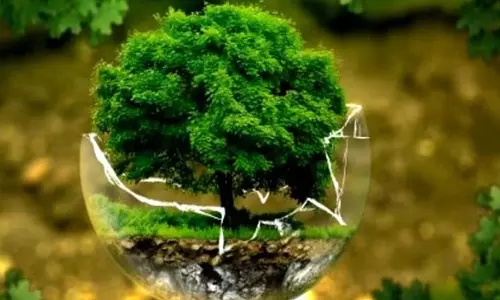 Goa सरकार ने ESA सूची के मसौदे को संशोधित किया