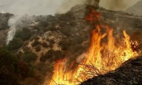 California में तेजी से फैलती जंगल की आग ने हजारों लोगों को पलायन के लिए मजबूर किया