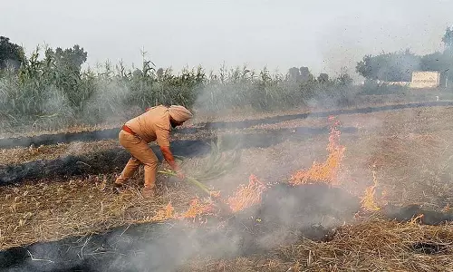 Punjab: किसानों ने पराली जलाने पर जुर्माना दोगुना करने के केंद्र के कदम की निंदा की Punjab: किसानों ने पराली जलाने पर जुर्माना दोगुना करने के केंद्र के कदम की निंदा की