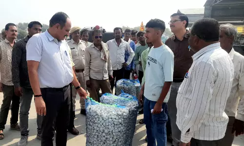 Jhalawar: जिला कलेक्टर ने कृषि उपज मंडी एवं विभिन्न निर्माण कार्यों का किया निरीक्षण Jhalawar: जिला कलेक्टर ने कृषि उपज मंडी एवं विभिन्न निर्माण कार्यों का किया निरीक्षण