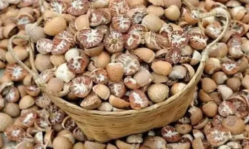 Mizoram : एक करोड़ रुपये की हेरोइन और सुपारी के साथ म्यांमार के तीन लोगों को गिरफ्तार