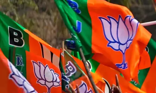 भाजपा के नए राष्ट्रीय अध्यक्ष की घोषणा दिसंबर में