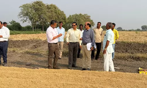 Baran: जिला कलेक्टर प्रगतिशील किसानों के खेतों पर नवाचारों का किया अवलोकन Baran: जिला कलेक्टर प्रगतिशील किसानों के खेतों पर नवाचारों का किया अवलोकन