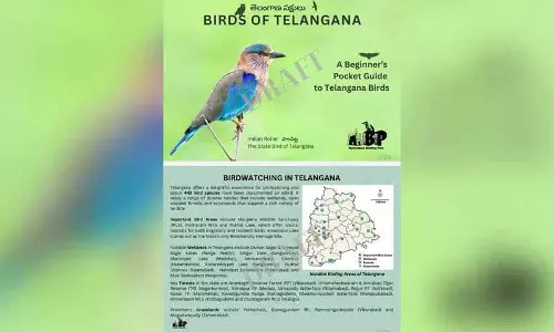 बर्डिंग पाल्स Telangana के पक्षियों पर एक लाख पॉकेट गाइड वितरित करेगा
