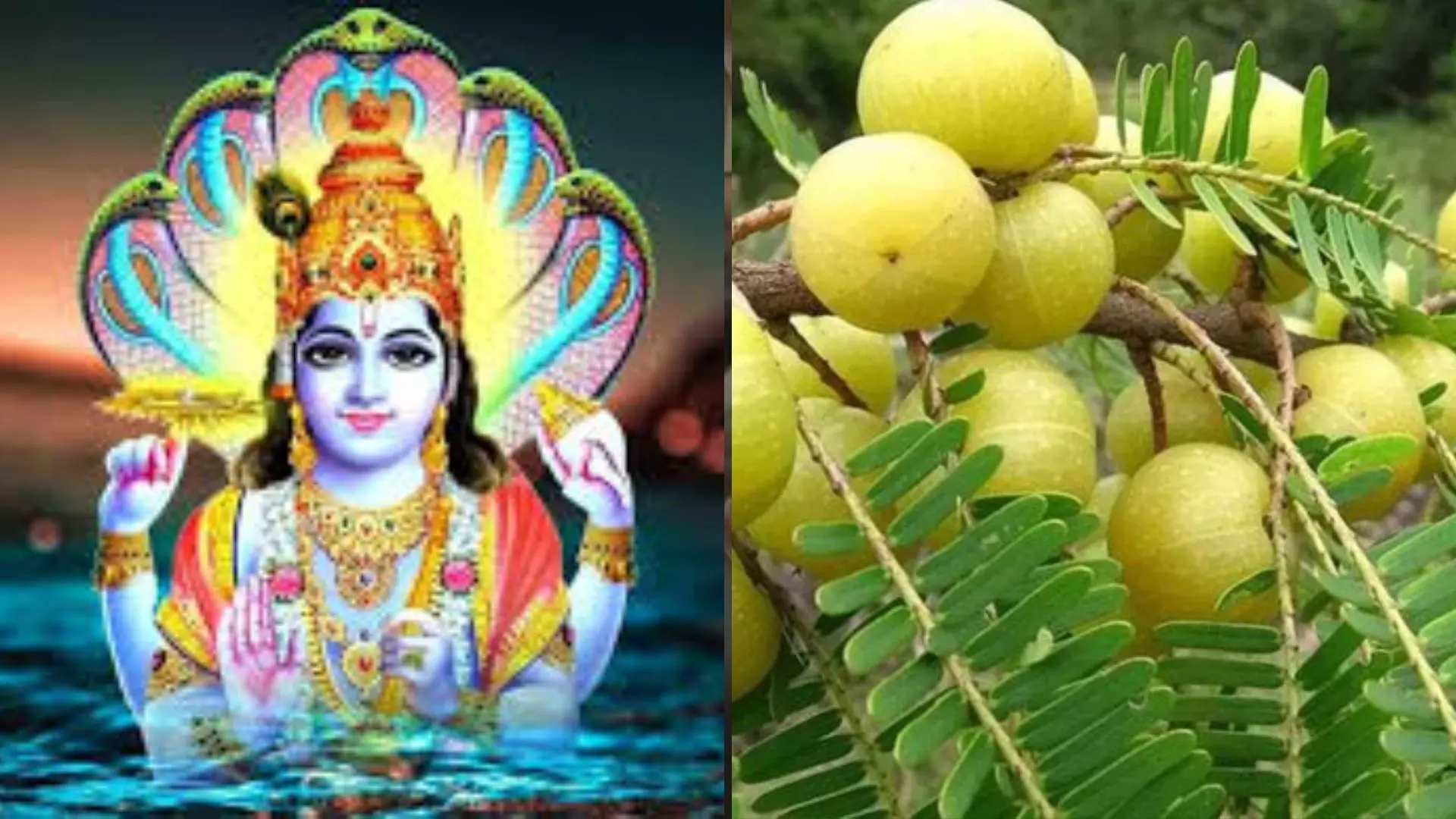 Akshaya Navami जानें डेट और पूजा का शुभ मुहूर्त