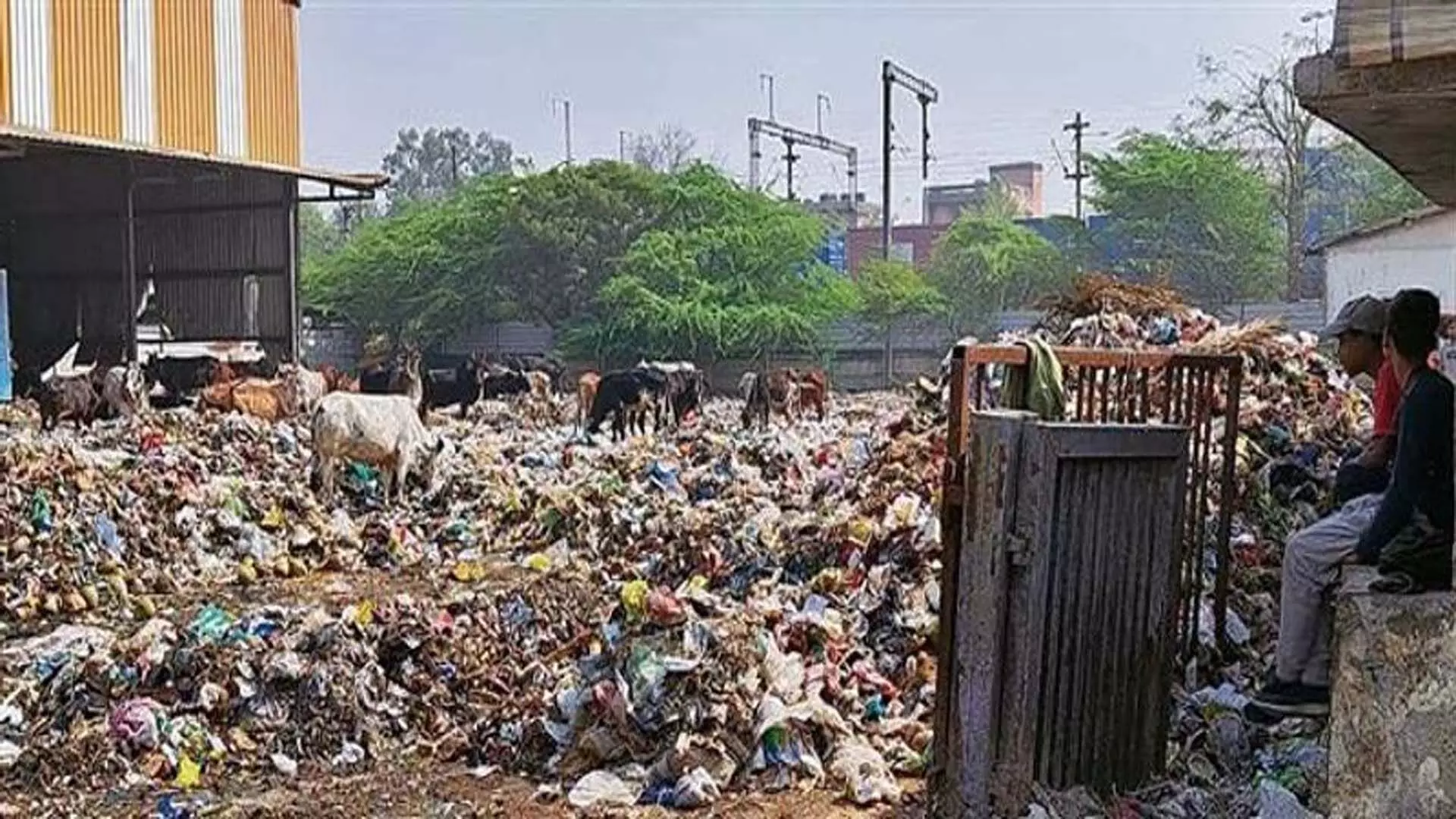 Faridabad: डोर-टू-डोर कूड़ा कलेक्शन के लिए टेंडर प्रक्रिया पर नगर निगम ने रोक लगाई