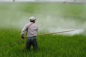 India Pesticides के Q2 नतीजे: लाभ में 32.87% की वृद्धि