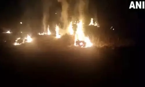 CAQM ने पराली जलाने पर लगाए जाने वाले संशोधित पर्यावरण मुआवजे की दरें जारी कीं