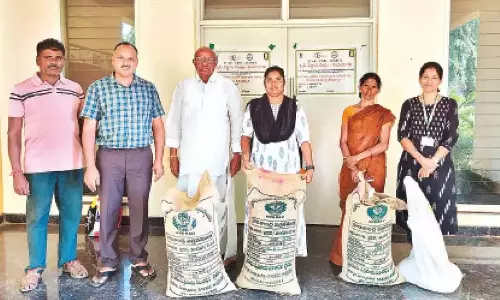 Andhra: चने की नई किस्मों का प्रदर्शन Andhra: चने की नई किस्मों का प्रदर्शन