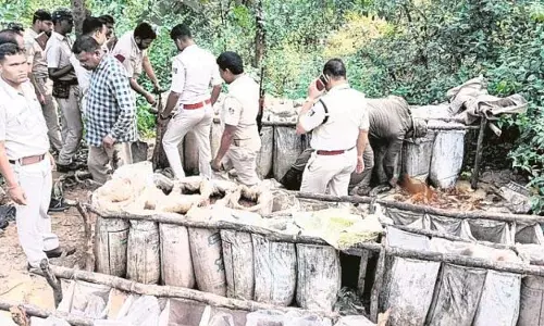 झारखंड चुनाव से पहले संयुक्त छापेमारी जारी, 8 लोग गिरफ्तार