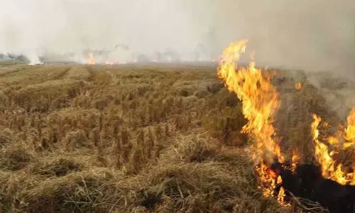 Punjab: खेतों में आग लगाने पर जुर्माना दोगुना, किसान नाराज Punjab: खेतों में आग लगाने पर जुर्माना दोगुना, किसान नाराज