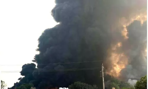 बहादुरगढ़ में हरित मानदंडों के उल्लंघन के लिए NHAI अधिकारी, बीडीपीओ को नोटिस जारी