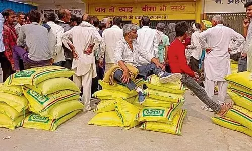 Haryana :  रणदीप सुरजेवाला के डीएपी की कमी के दावों का खंडन किया