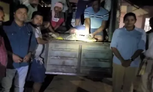ओडिशा के Balasore जिले में 7 फुट लंबे मगरमच्छ को बचाया गया ओडिशा के Balasore जिले में 7 फुट लंबे मगरमच्छ को बचाया गया