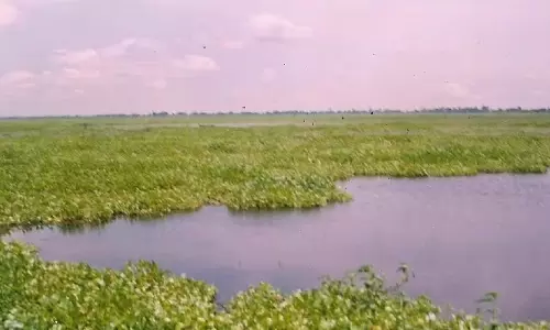 Assam को बाढ़ नियंत्रण से निपटने के लिए आर्द्रभूमि बहाली रिपोर्ट विकसित करने का निर्देश