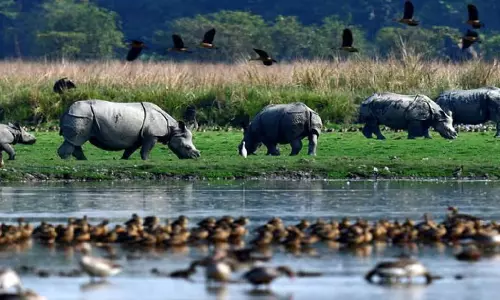 Assam : एनजीटी टीम ने पोबितोरा वन्यजीव अभयारण्य के प्रस्तावित पारिस्थितिकी-संवेदनशील क्षेत्र में ईंट भट्टे पाए