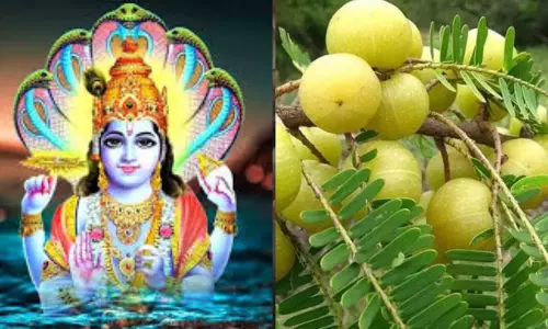 Akshaya Navami जानें डेट और पूजा का शुभ मुहूर्त Akshaya Navami जानें डेट और पूजा का शुभ मुहूर्त
