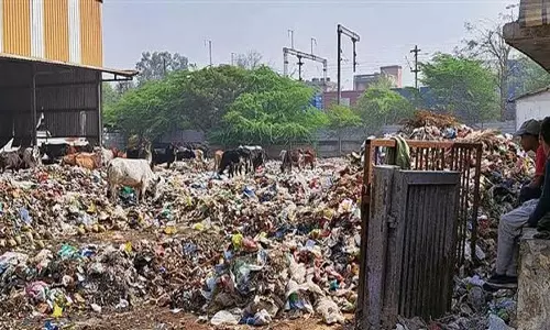 Faridabad: डोर-टू-डोर कूड़ा कलेक्शन के लिए टेंडर प्रक्रिया पर नगर निगम ने रोक लगाई Faridabad: डोर-टू-डोर कूड़ा कलेक्शन के लिए टेंडर प्रक्रिया पर नगर निगम ने रोक लगाई
