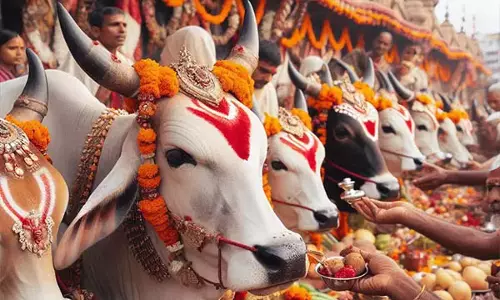 Gopasthami वाले दिन निम्नलिखित सात कार्य करे Gopasthami वाले दिन निम्नलिखित सात कार्य करे