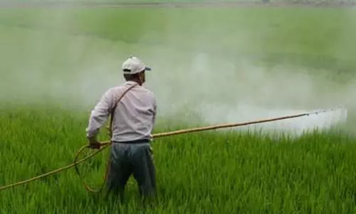 India Pesticides के Q2 नतीजे: लाभ में 32.87% की वृद्धि India Pesticides के Q2 नतीजे: लाभ में 32.87% की वृद्धि